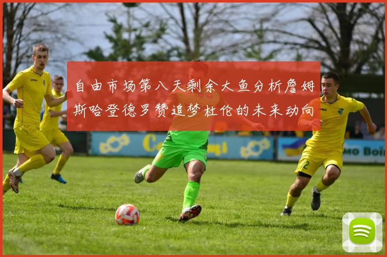 自由市场第八天剩余大鱼分析詹姆斯哈登德罗赞追梦杜伦的未来动向